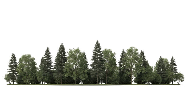 A row of evergreen trees and deciduous trees stands on a horizontal plane against a transparent background. The trees vary in height and color, creating a layered effect.