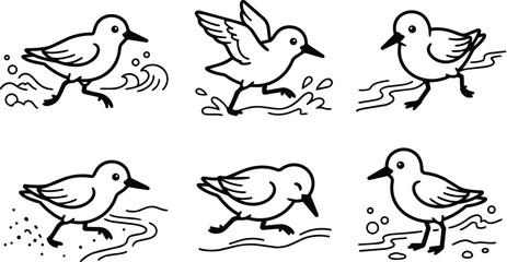 Fototapeta premium seagull line art illustrations showing running and splash on beach