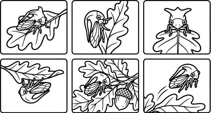 panel black and white vector line art cicada on oak leaves