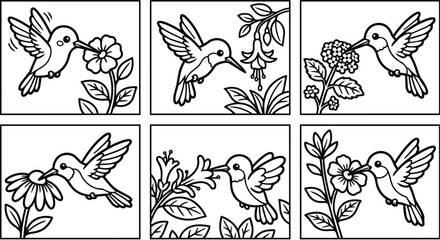 Fototapeta premium Hummingbird line art collection with flowers in black and white vector illustrations