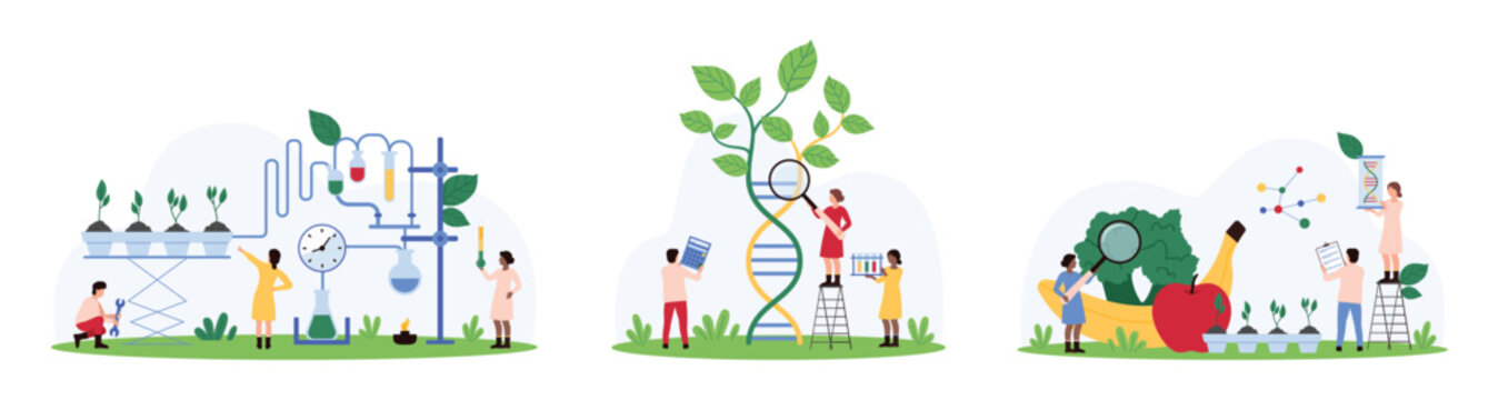 Food quality analysis, genetic and chemical research set. Tiny people with magnifying glass control fruits and vegetables, study DNA, grow agriculture plants in laboratory cartoon vector illustration