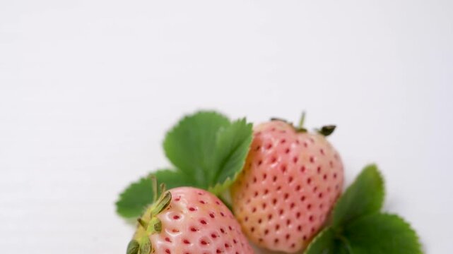 White strawberry, berry fruits isolated, abstract food background