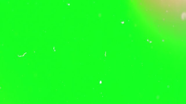 Matrix digital particles swirling in cyberspace with a green screen alpha channel setup for technological innovations, high tech presentations, computer science, and programming clips profession.