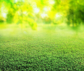 Fototapeta premium natural grass background with blurred bokeh and sun