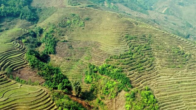 Stunning aerial wide shot of majestic green terrace rice fields in Sapa, Vietnam, showcasing agricultural landscape beauty under daylight