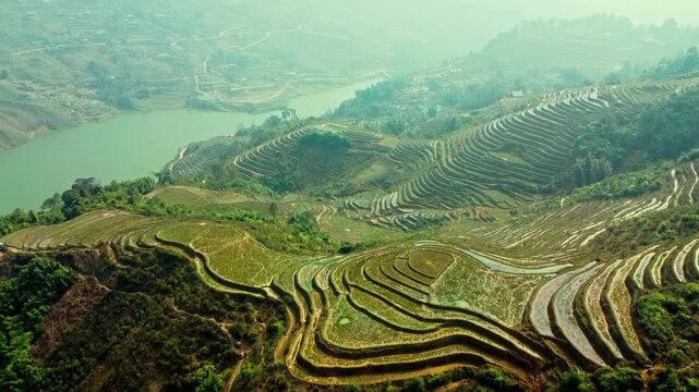 Stunning aerial wide shot of majestic green terrace rice fields in Sapa, Vietnam, showcasing agricultural landscape beauty under daylight