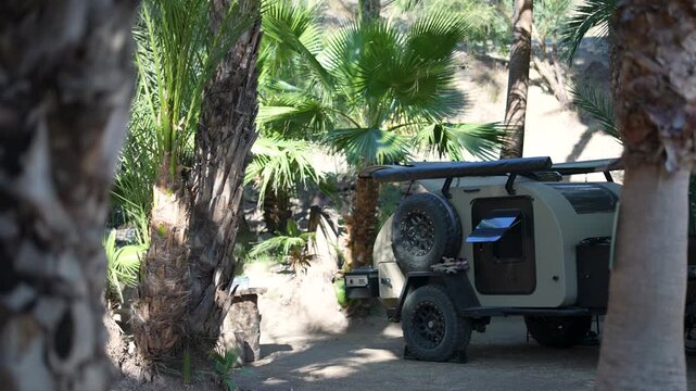 Teardrop camper trailer parked among palm trees in a desert oasis in San Ignacio, Baja California Sur, Mexico at early morning light