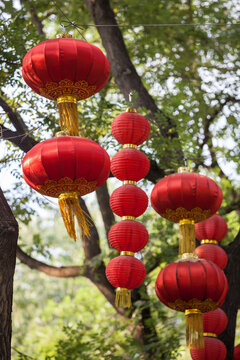 Typical red lanterns hanging in a hutong, Beijing, China