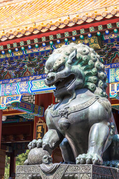 Lion statue in the summer palace, Beijing, China