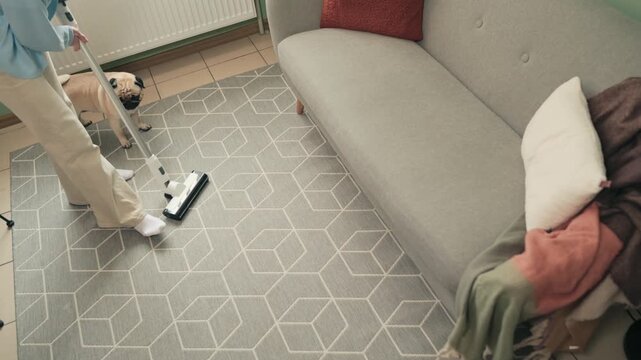 Young woman using cordless vacuum cleaner to clean carpet in living room during regular household cleaning routine at home