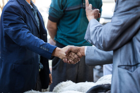 Handshaking as agreement on sale, livestock market, Turpan, Xinjiang, China