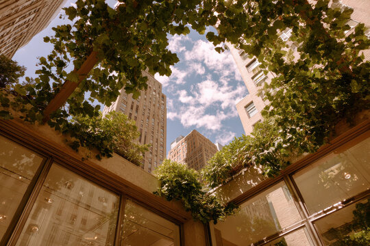 compelling juxtaposition of nature and technology emphasizing contrasts between organic landscapes and urban