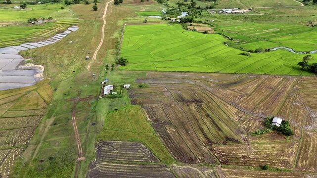 Aerial drone view of a rural farming landscape with vibrant green rice fields, a dirt road, small farm buildings, and a distant village amid tropical trees, Bato, Taytay, Palawan, Philippines.