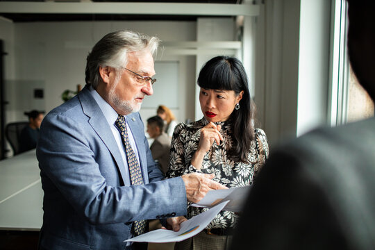 Senior manager mentoring colleague during document review in modern office