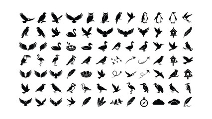 Obraz premium Large collection of black bird silhouettes and wildlife icons.
