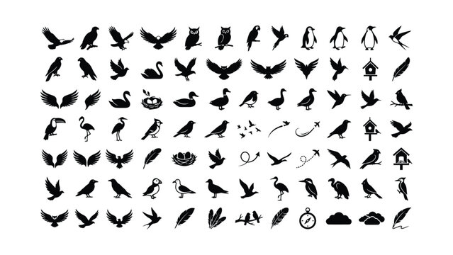 Large collection of black bird silhouettes and wildlife icons.