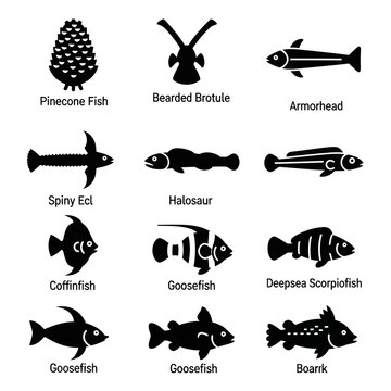 Benthic and Armored Deep-Sea Species Documented in Ocean Depths