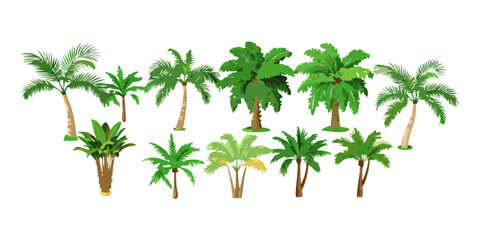 Obraz premium Collection of various tropical palm tree illustrations, vector