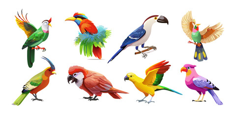 Obraz premium Colorful exotic tropical birds collection set, vector