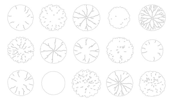 Architectural tree plan symbols, 15 landscape design icons in top view, minimalist black and white line art vector set for site planning