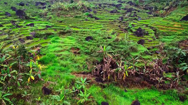 Panoramic high-angle aerial view of vibrant green rice terraces and limestone mountains in Pu Luong, Vietnam, showcasing stunning rural scenery.

