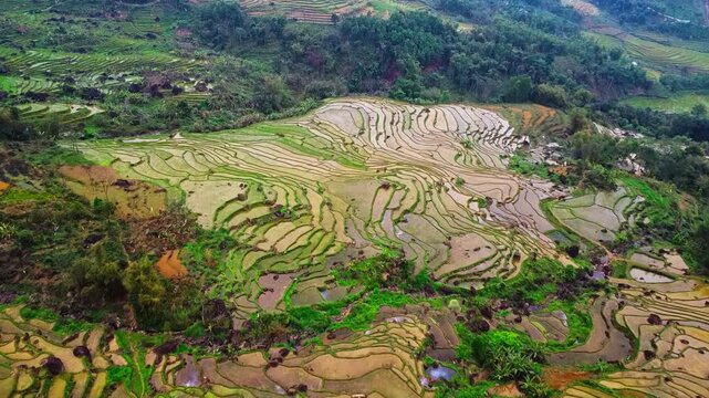 Panoramic high-angle aerial view of vibrant green rice terraces and limestone mountains in Pu Luong, Vietnam, showcasing stunning rural scenery.

