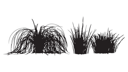 Black and white of four quills and ink bottle feather © Mahfujur Riyad