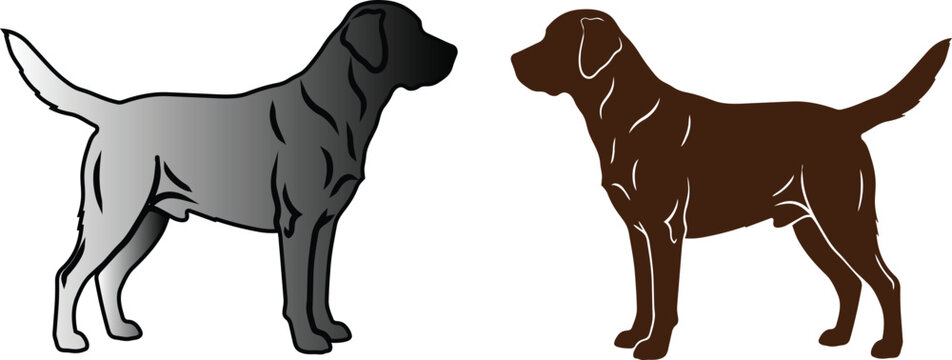 Retriever Dog Profile Vector Illustration with Colored Silhouette Isolated Design