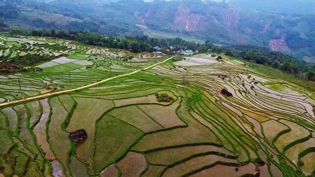 Panoramic high-angle aerial view of vibrant green rice terraces and limestone mountains in Pu Luong, Vietnam, showcasing stunning rural scenery.

