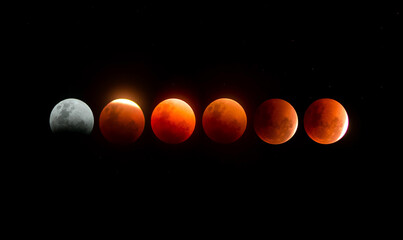 Lunar Eclipse Phases Showing Moon Transition in Night Sky © ornax photo