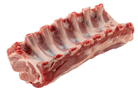 A fresh raw rack of lamb with prominent bones and red meat, captured on a transparent background, for use in, food advertisements