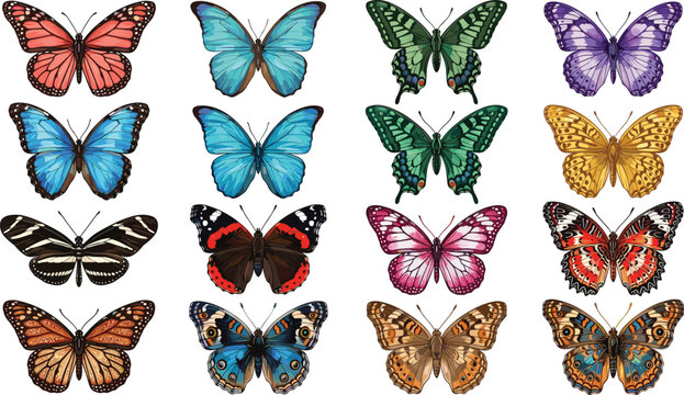 Beautiful multicolored butterfly vector collection featuring detailed wing patterns of monarchs swallowtails and morpho species isolated on white
