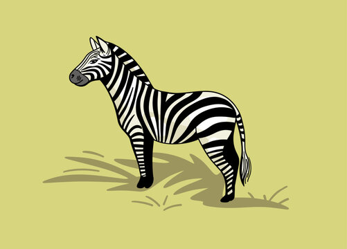 Zebra illustration drawn by hand in vector