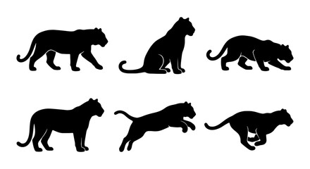 Black Panther Silhouettes, Wild Cat Poses Vector Set, Elegant Feline Animal Graphics © VG