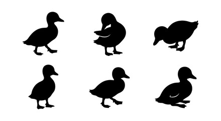 Duck Silhouettes, Cute Ducklings Vector Set, Farm Animal Icons, Simple Black Duck Shapes © VG