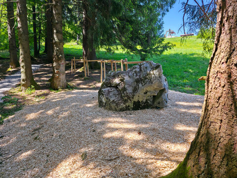 germany, forest adventure trail with wooden path and playful ball route beneath summer canopy