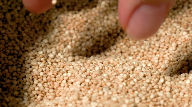 Close-up of a hand picking up and letting quinoa grains fall continuously, food preparation scene, video recorded in 60fps and 4K quality
