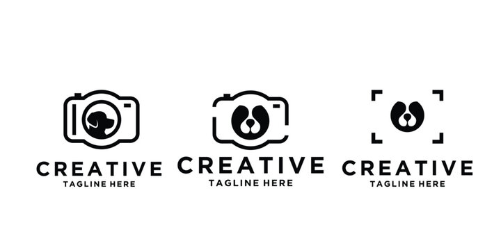 Creative camera logo design with a cute bear face inside.