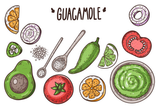 Mexican cuisine recipe horizontal layout, native vector hand drawn engraved style avocado dip banner colored guacamole ingredient white background