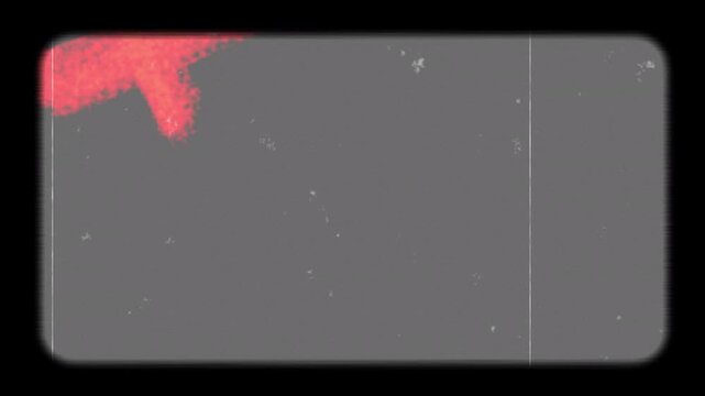 Super real hard 8 mm film vintage texture with dust and light leaks