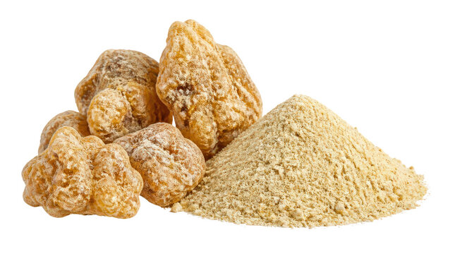 Dried Maca Root and Maca Powder Isolated on White Background