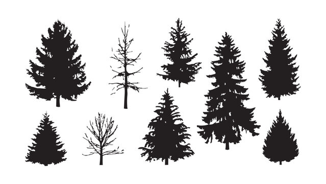 Set of diverse tree silhouettes, pine, fir, bare trees, isolated on transparent.