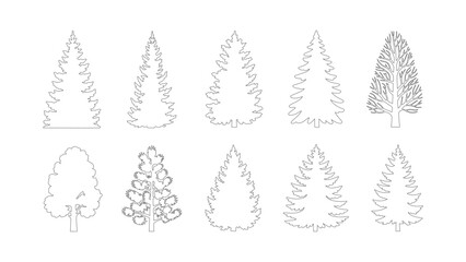 Set of detailed outline coniferous tree silhouettes for creative forest landscape designs. © Sara Studio