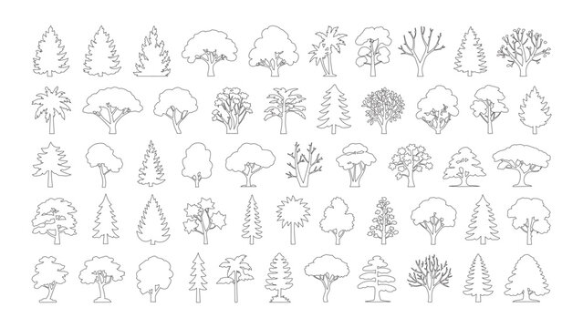 Various tree species in thin line art style for landscaping and architectural planning.