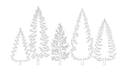 Obraz premium Set of five contour trees isolated on transparent background, outline pine trees.