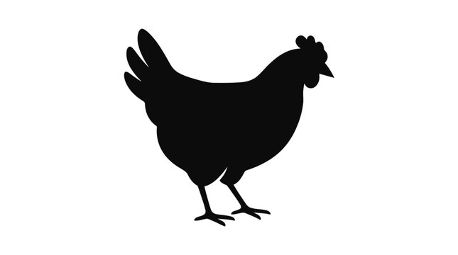 Black chicken silhouette, vector illustration, farm animal icon, poultry symbol