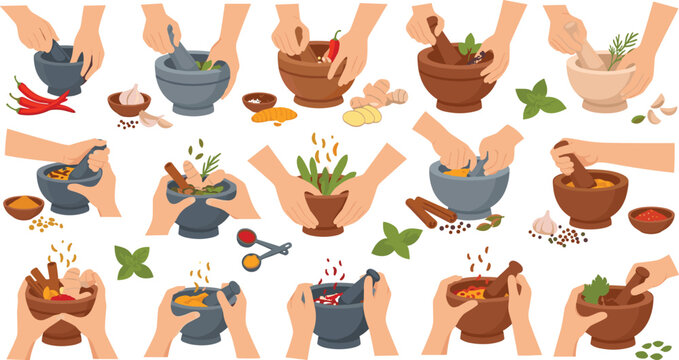 Hands Grinding Fresh Herbs and Spices in Mortar and Pestle Vector Illustration Set