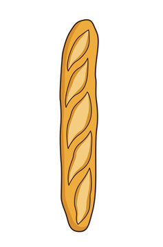 Traditional French baguette bread loaf vector illustration