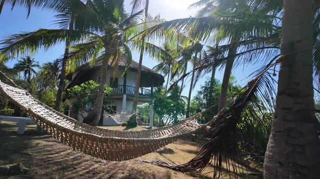Empty hammock swinging between palm trees at tropical island resort during sunny day