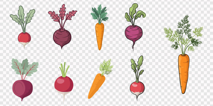 Radish icon clipart and lineart vector symbols, Cartoon isolated vitamin tubers and green leaf, growing in garden food ingredients collection with leek celery onion potato radish beetroot carrot